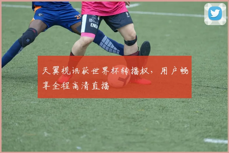 天翼视讯获世界杯转播权，用户畅享全程高清直播