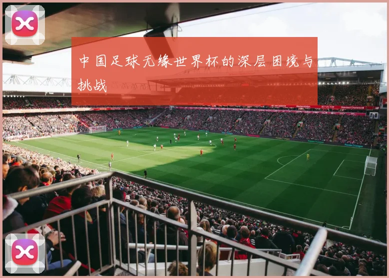 中国足球无缘世界杯的深层困境与挑战