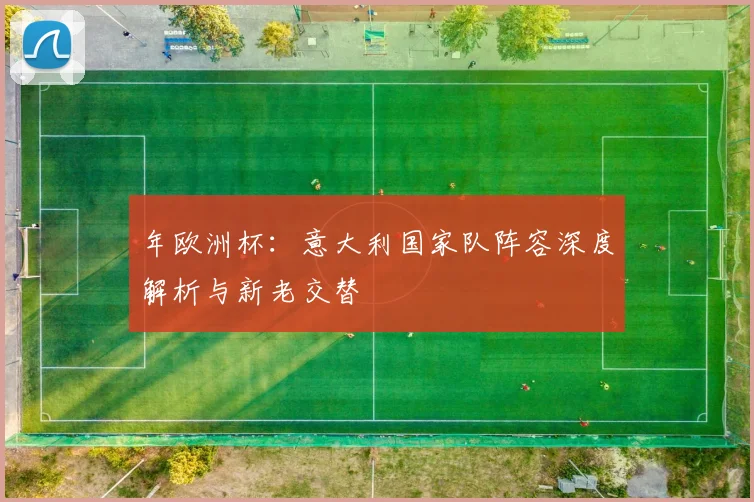 年欧洲杯：意大利国家队阵容深度解析与新老交替