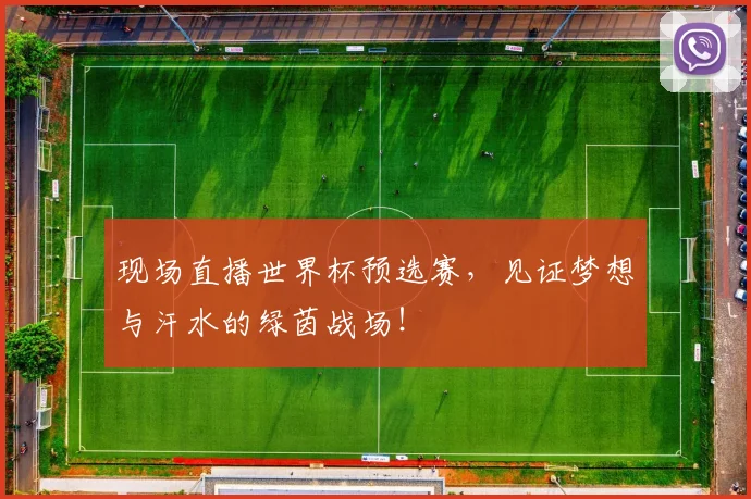 现场直播世界杯预选赛，见证梦想与汗水的绿茵战场！